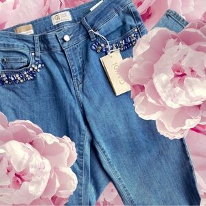 Gaudi Italy Embellished Jegging